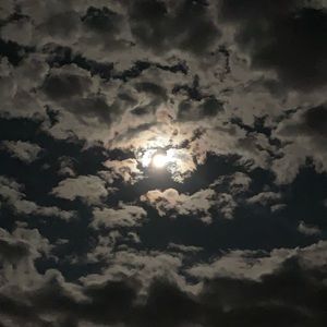 Meet your Posher, Charles